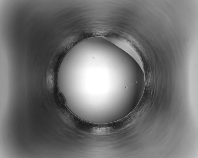 X0000096720452200802051446