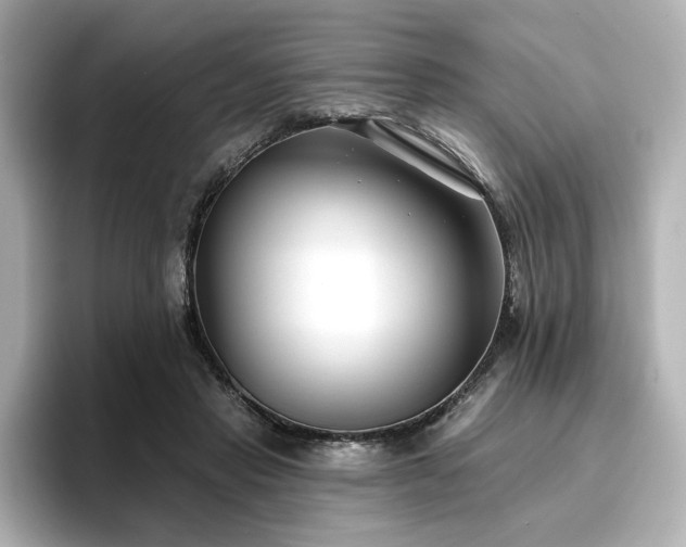 X0000096720453200802051446