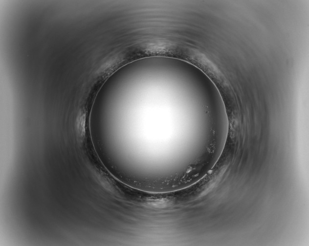 X0000096720454200802051446