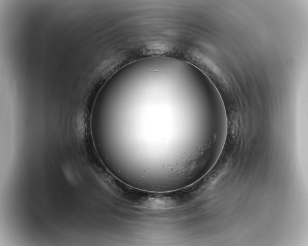 X0000096720455200802051446