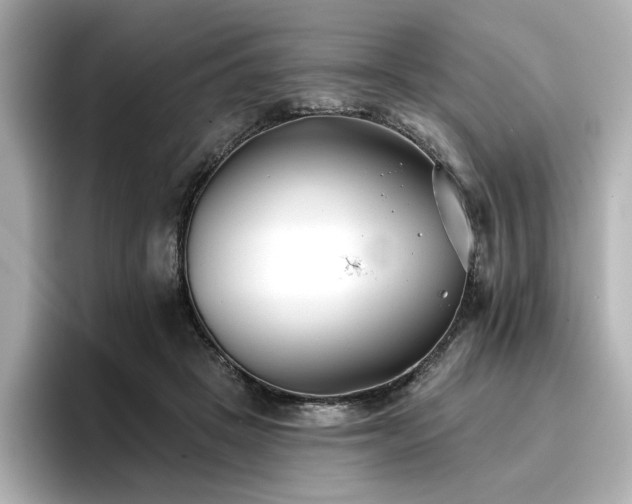 X0000096720457200802051446