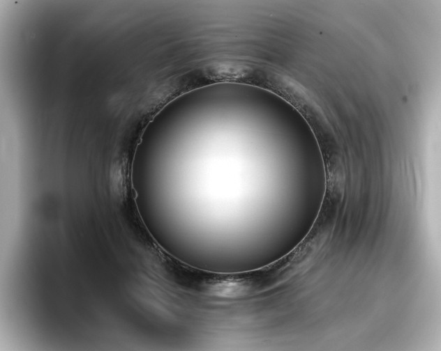 X0000096720460200802051446