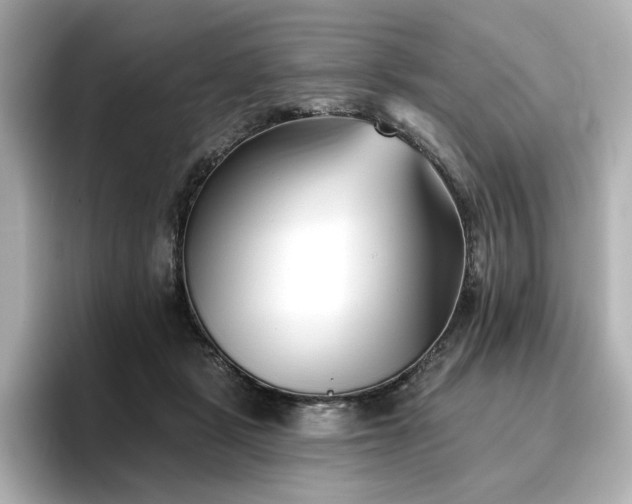 X0000096720461200802051446