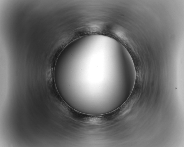 X0000096720462200802051446