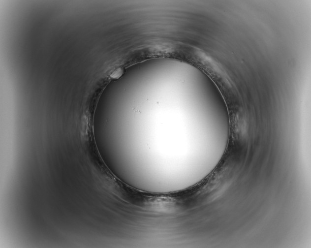 X0000096720463200802051446