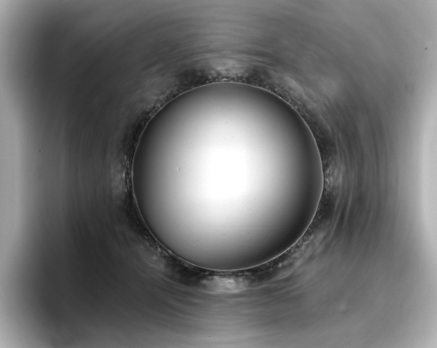 X0000096720464200802051446