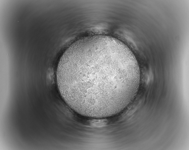 X0000096720465200802051446