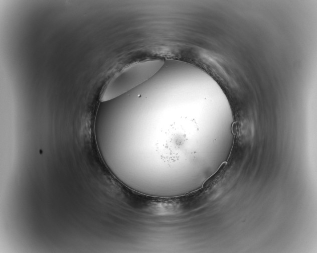 X0000096720466200802051446