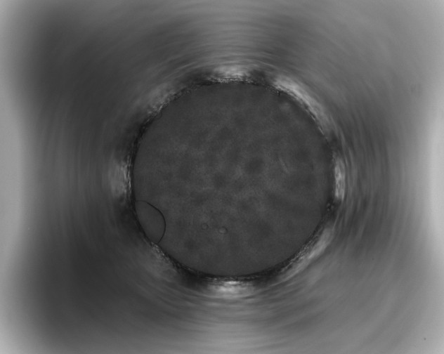 X0000096720467200802051446
