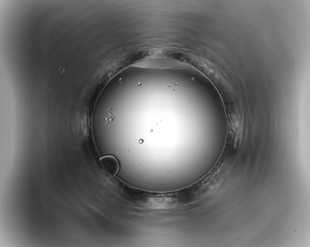 X0000096720470200802051446