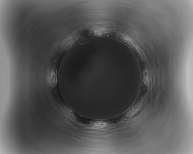 X0000096720471200802051446