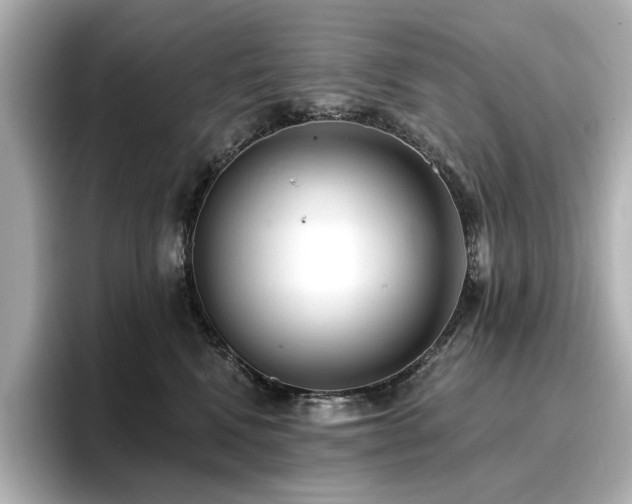 X0000096720472200802051446