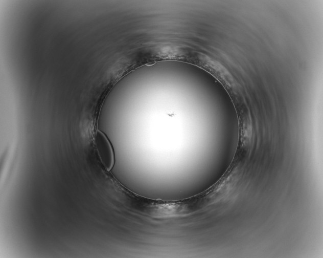 X0000096720473200802051446