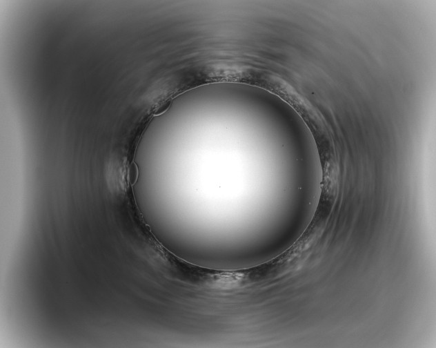 X0000096720474200802051446