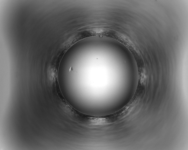 X0000096720476200802051446