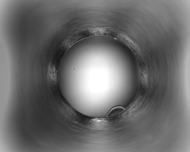 X0000096720477200802051446