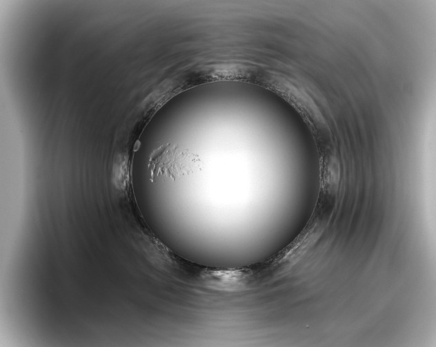 X0000096720478200802051446