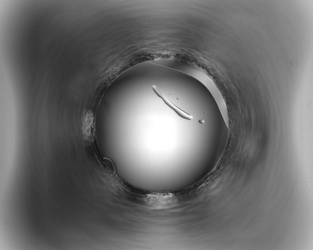 X0000096720480200802051446