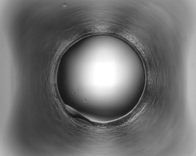 X0000096720481200802051446
