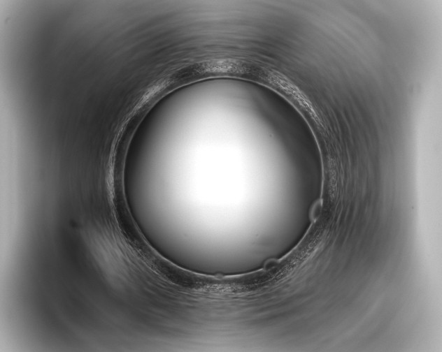 X0000096720482200802051446