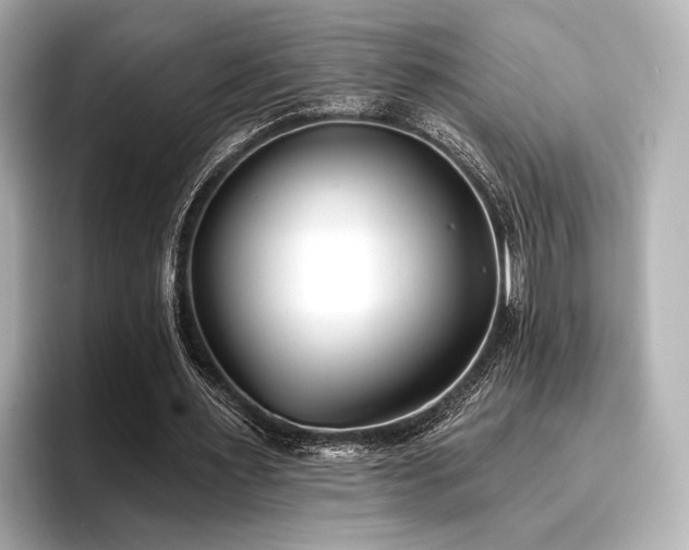 X0000096720483200802051446