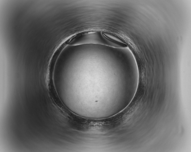 X0000096720484200802051446