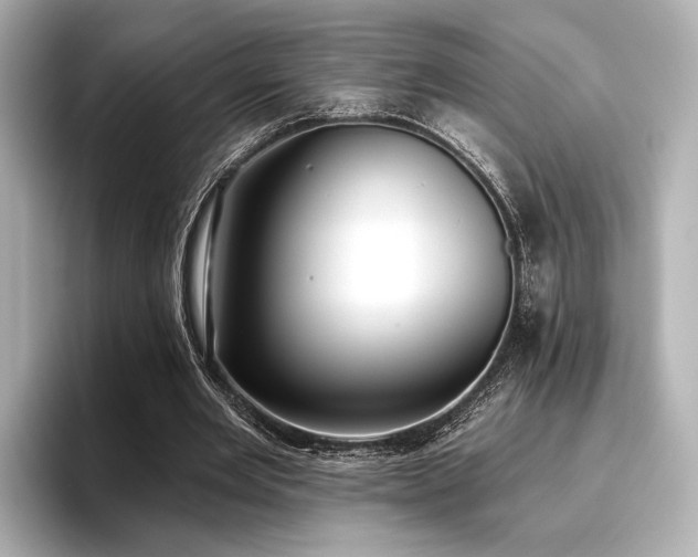 X0000096720485200802051446