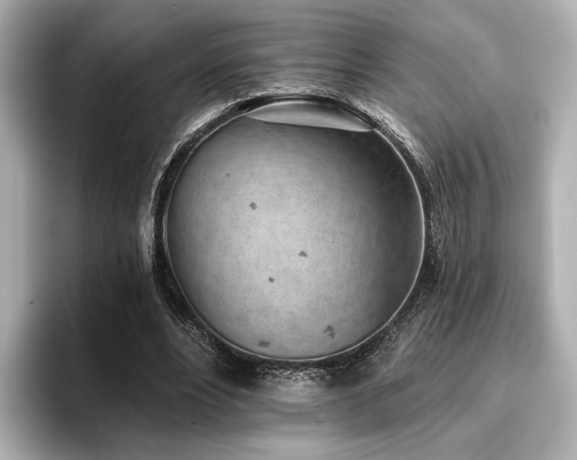 X0000096720488200802051446
