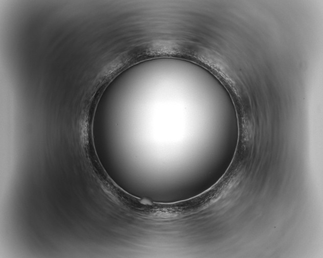 X0000096720489200802051446