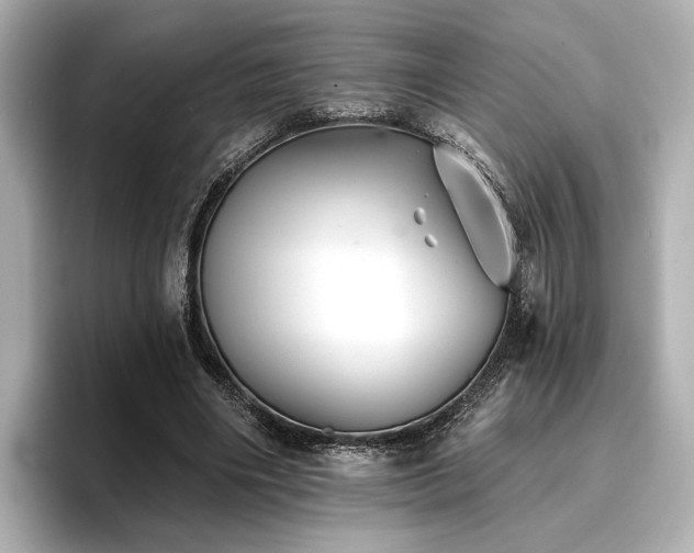 X0000096720490200802051446