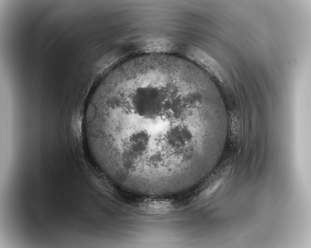 X0000096720491200802051446