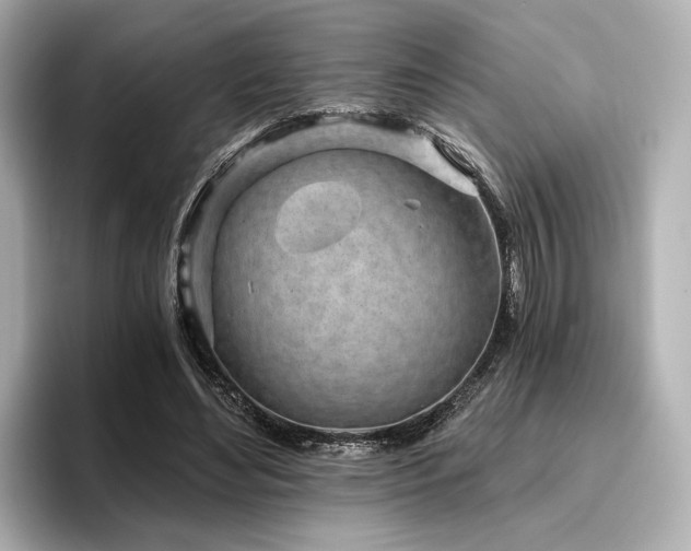 X0000096720492200802051446