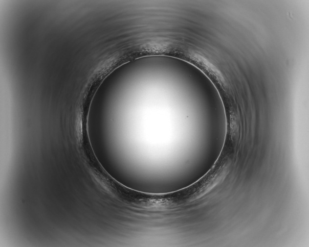 X0000096720493200802051446
