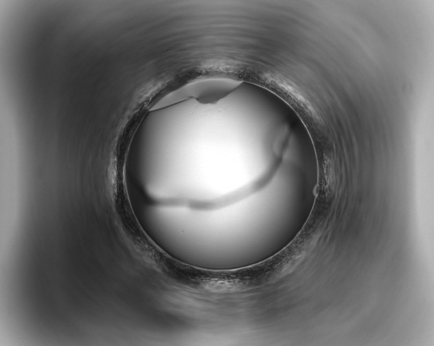 X0000096720494200802051446