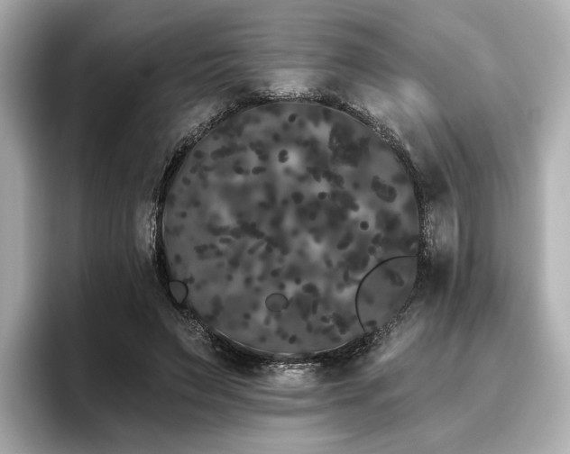 X0000096720495200802051446