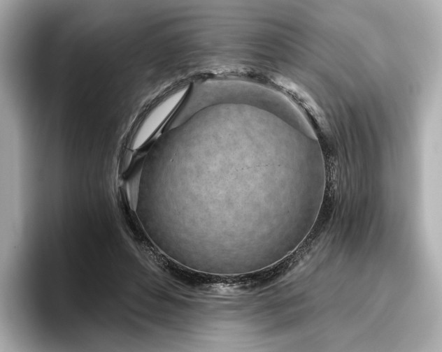 X0000096720496200802051446