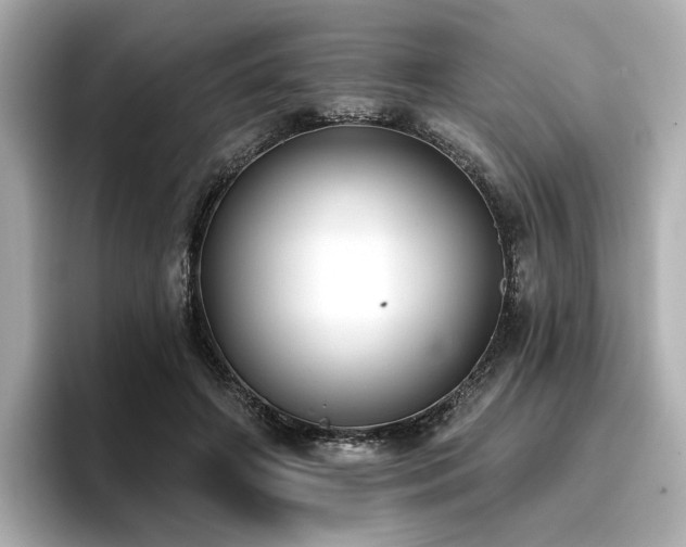 X0000096720498200802051445
