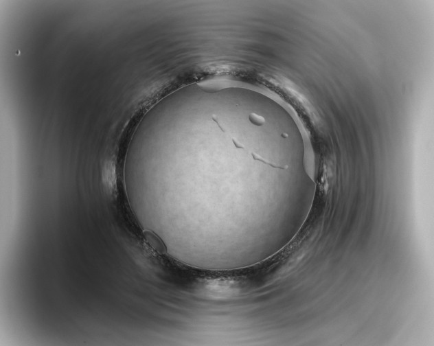 X0000096720500200802051445