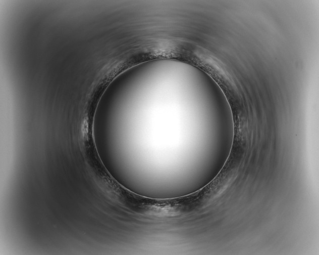 X0000096720502200802051445
