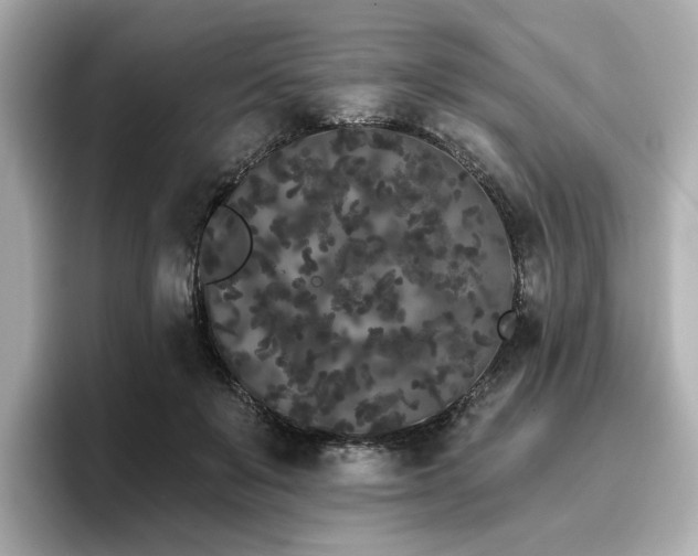 X0000096720503200802051445