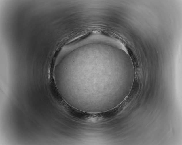 X0000096720504200802051445