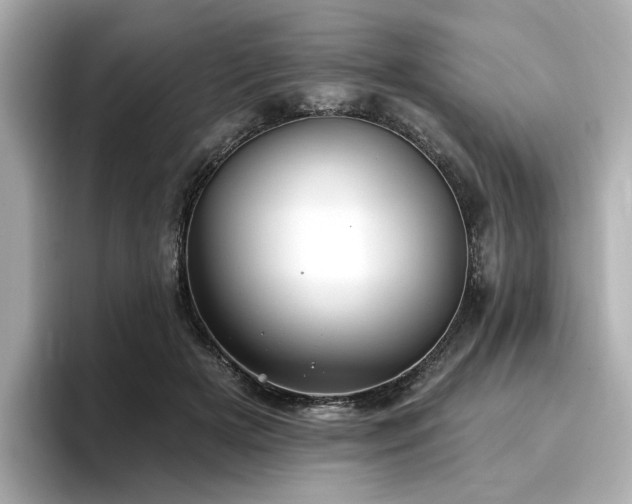 X0000096720505200802051445