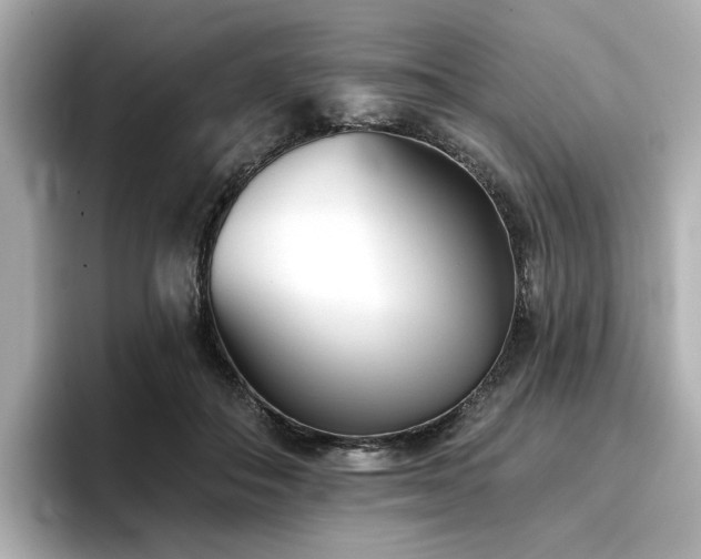 X0000096720506200802051445