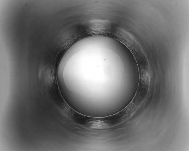X0000096720507200802051445