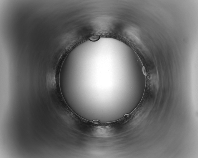 X0000096720508200802051445