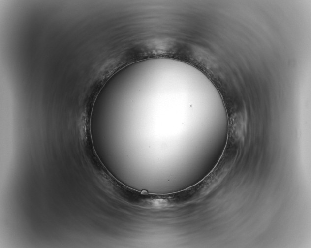 X0000096720509200802051445