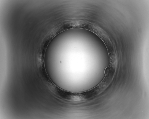 X0000096720510200802051445
