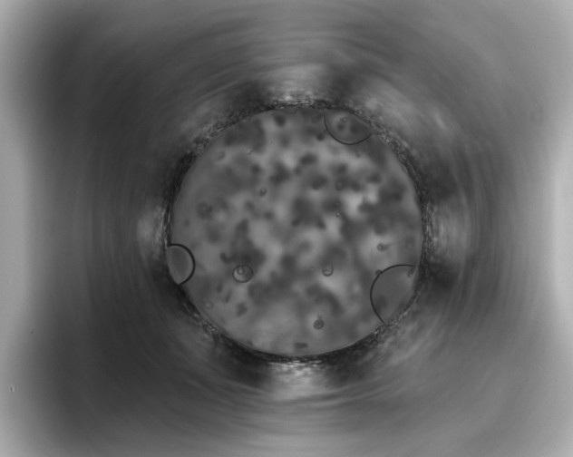 X0000096720511200802051445