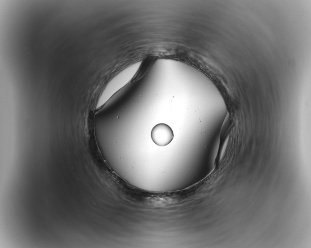 X0000096720512200802051445