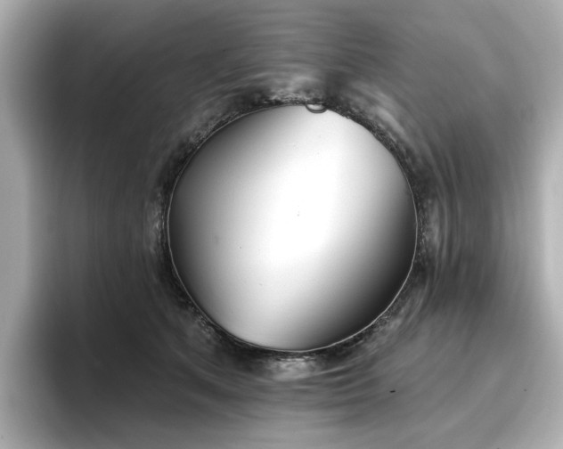 X0000096720513200802051445